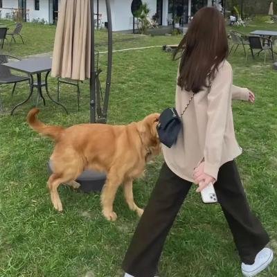 倾国艳后